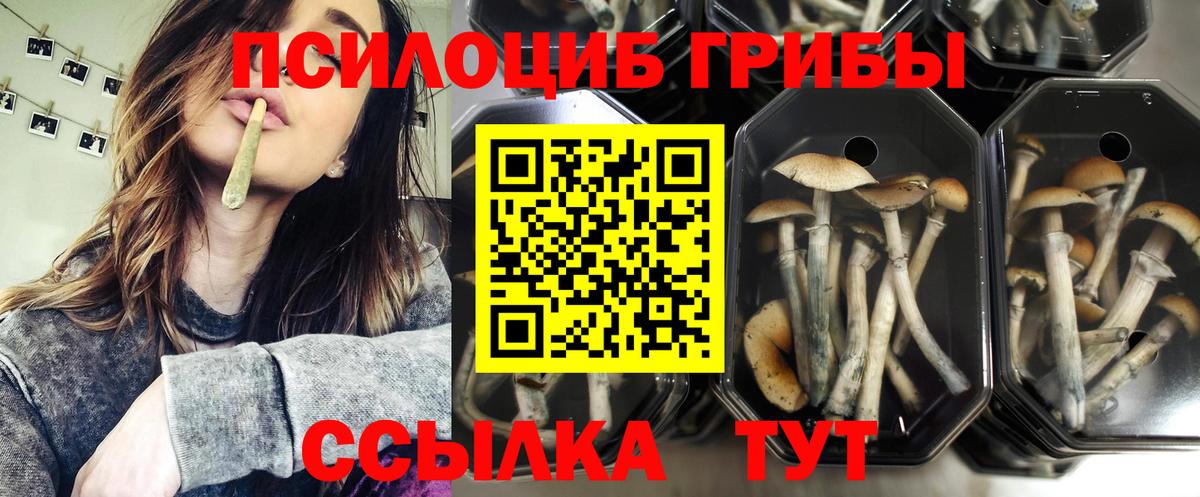 Псилоцибиновые грибы ЛСД  Вход с VPN  Донской 